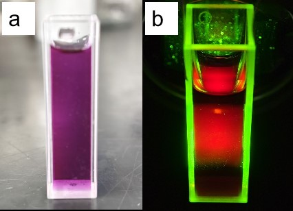 ¿Cuáles son los métodos de síntesis y aplicaciones de los puntos cuánticos de carbono?