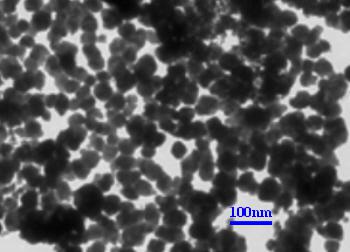 Andamio de hidrogel compuesto superparamagnético para la monitorización dinámica in vivo de la regeneración de la osteoartritis