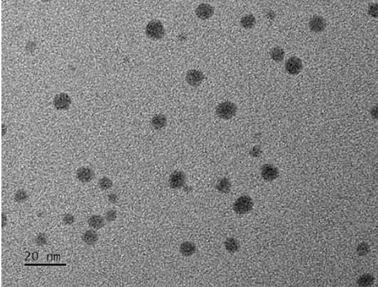 Uso innovador de nanopartículas de sulfuro de plata en hidrogeles de doble red que responden a la luz para la terapia fototérmica del cáncer