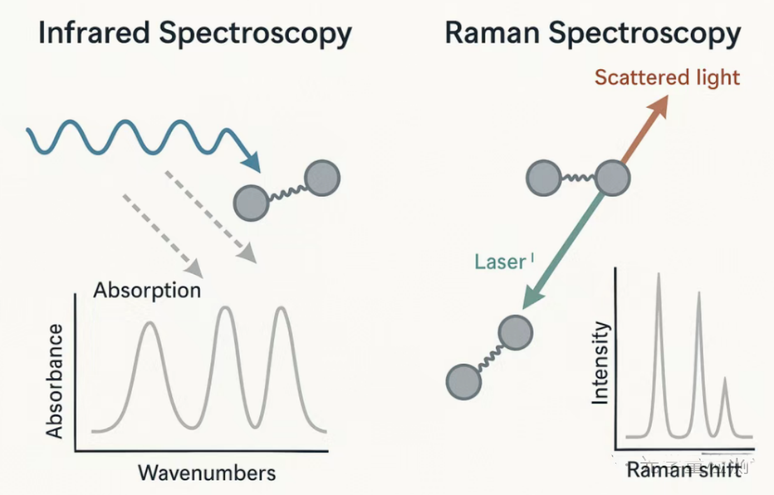 Cómo distinguir entre espectroscopia infrarroja y espectroscopia Raman